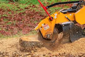 Mclean, TX Tree Services Company